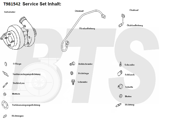 Compresor,sistem de supraalimentare T981542 BTS Turbo